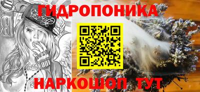 хмурый Новодвинск
