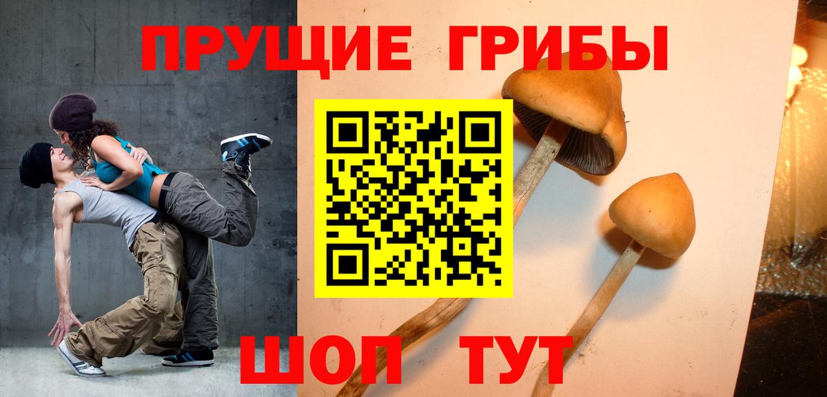 Галлюциногенные грибы мицелий Тайшет