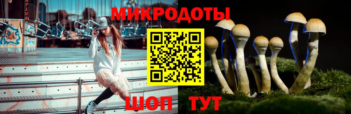Тайшет  Галлюциногенные грибы Magic Shrooms  Псилоцибиновые грибы Cubensis  Вход с VPN 